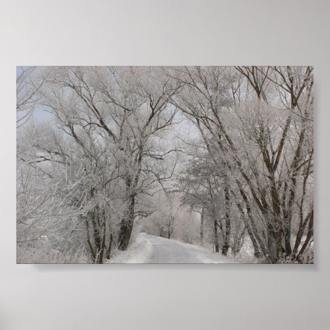 Poster Rua Lined da Árvore de inverno (Frente)