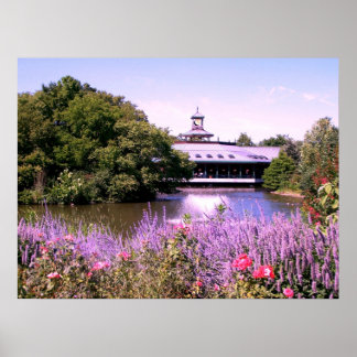 Poster Rua Louis Zoo