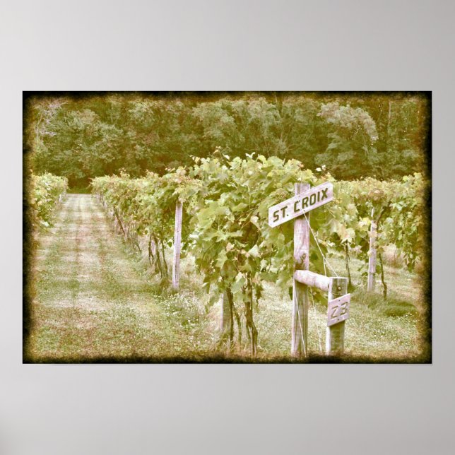 Poster Ruas. Croix (Frente)