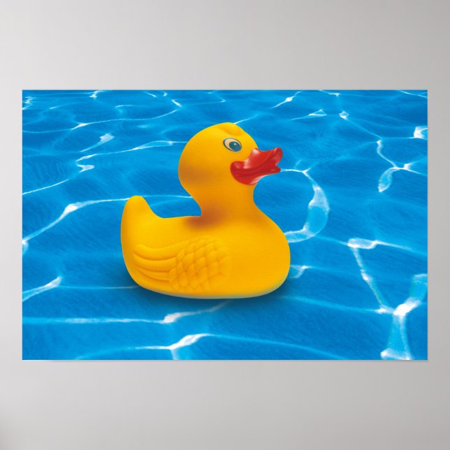 Poster rubber duck (Frente)