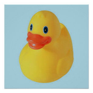 Pôster Rubber Ducky