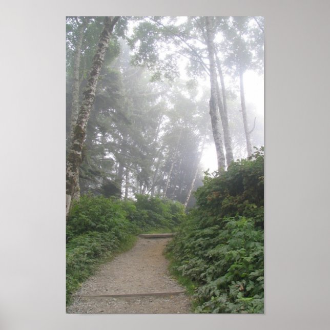 Poster  Ruby Beach, Pacific Coast - WA (Frente)