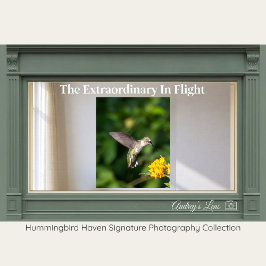 Poster Ruby-Throated Hummingbird Fine Art Photography 