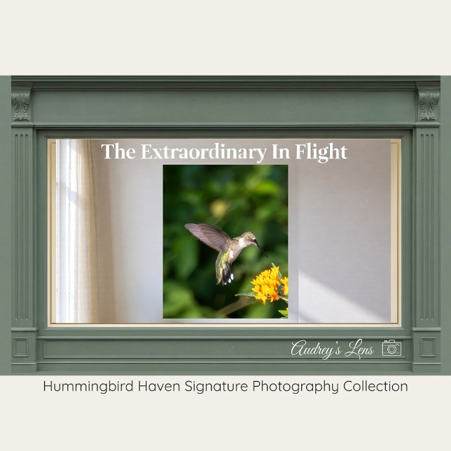 Poster Ruby-Throated Hummingbird Fine Art Photography  (Criador carregado)