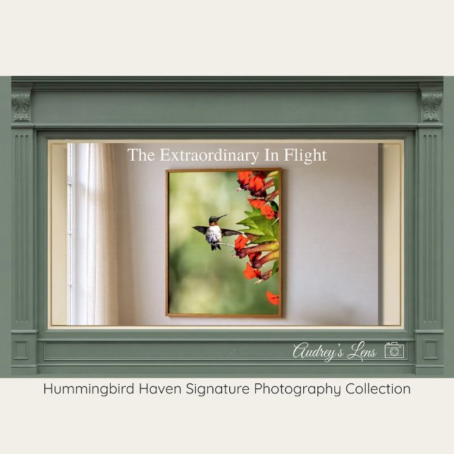Poster Ruby-Throated Hummingbird Fine Art Photography  (Criador carregado)