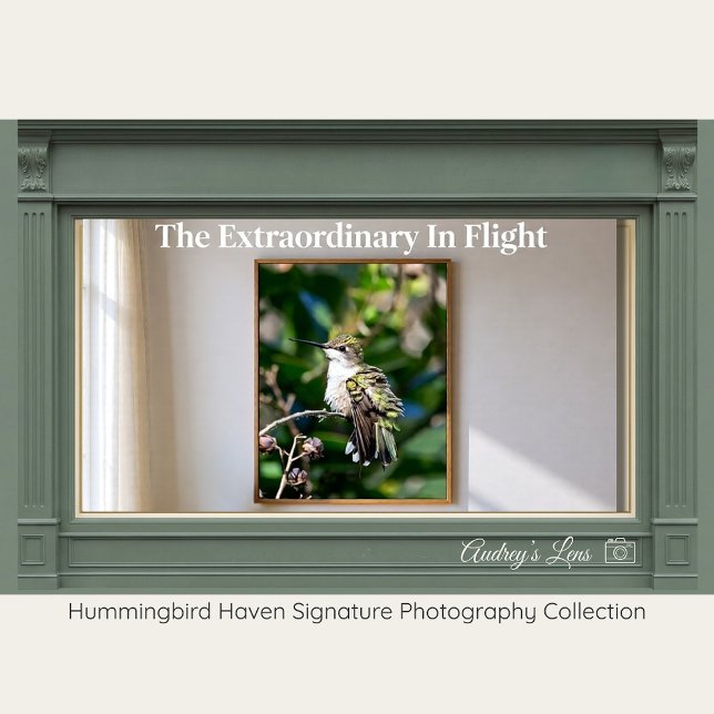 Poster Ruby-Throated Hummingbird Fine Art Photography  (Criador carregado)