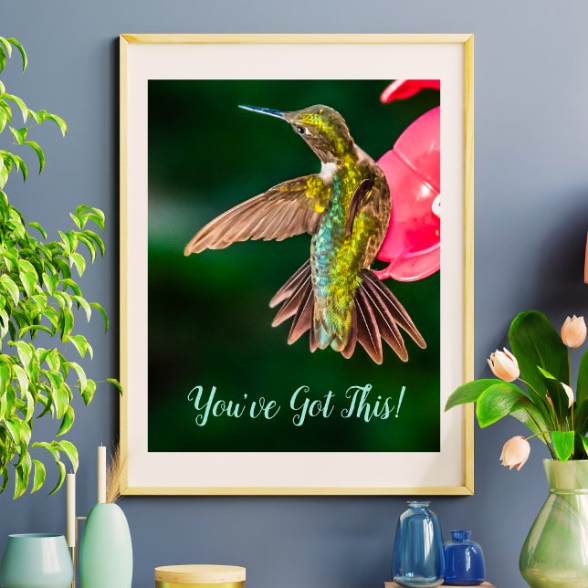 Poster Ruby Throated Hummingbird Você tem esta citação (Ruby Throated Hummingbird You've Got This Quote Poster)