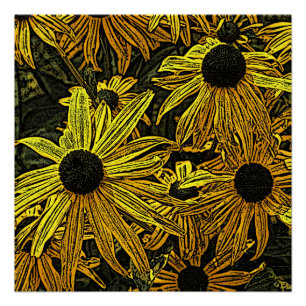PÔSTER RUDBECKIAS