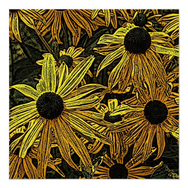 PÔSTER RUDBECKIAS (Frente)