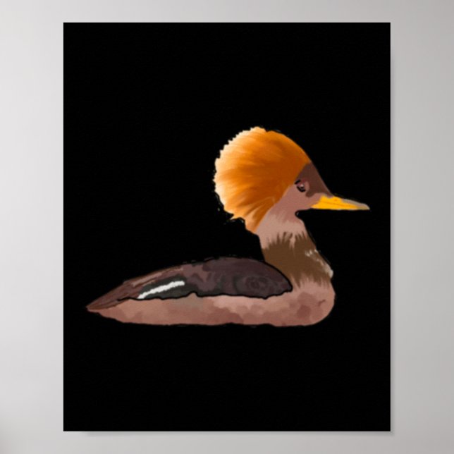 Poster Ruddy Duck Sticker (Frente)
