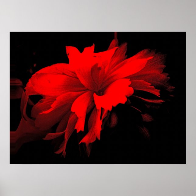 Poster ruffles 2 (Frente)