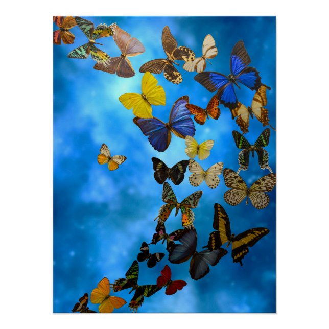 Pôster Rug (Frente)