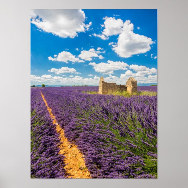 Poster Ruin in Lavender Field, France (Frente)