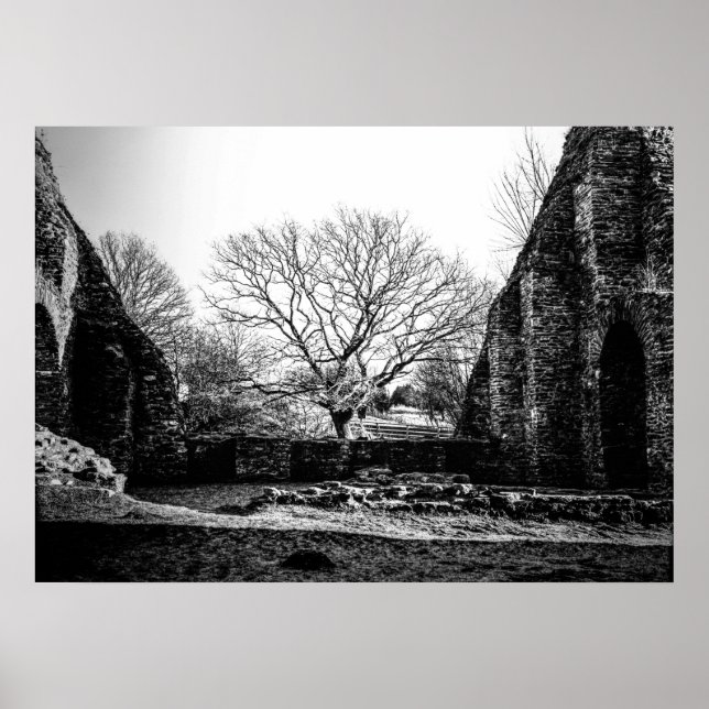 Poster Ruínas (Frente)