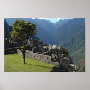 Pôster Ruinous Heights