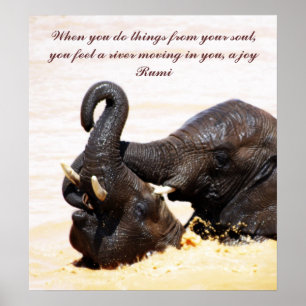 Poster Rumi Soul Joy