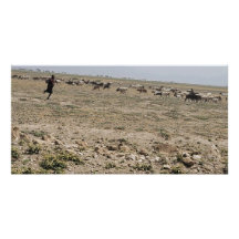 Running the Serengeti