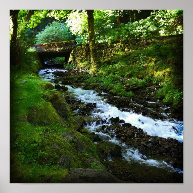 Poster Runoff de Wahkeena Falls, Oregon (Frente)