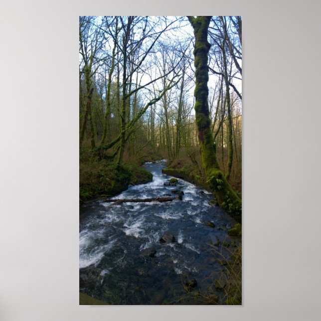 Poster Runoff from Bridal Veil Falls, Oregon (Frente)