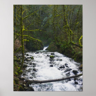 Poster Runoff from Bridal Veil Falls, Oregon