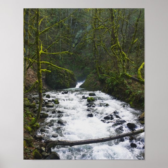 Poster Runoff from Bridal Veil Falls, Oregon (Frente)