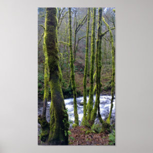 Poster Runoff from Bridal Veil Falls, Oregon