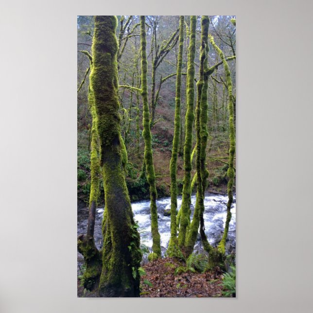 Poster Runoff from Bridal Veil Falls, Oregon (Frente)