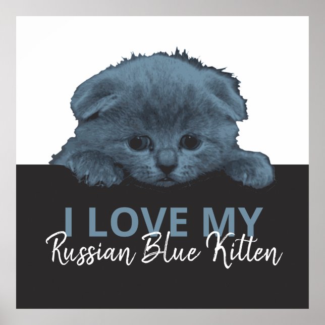 Poster Russo Blue Kitten (Frente)