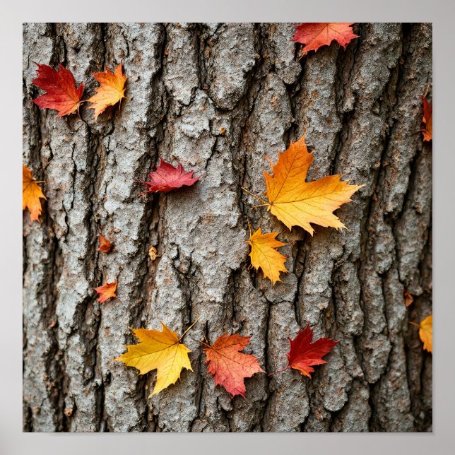 Poster Rustic Autumn Leaves Fall Colors Tree Bark (Frente)
