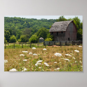 Pôster Rustic Barn e Queen Anne's Lace
