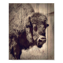 Rustic Wood Buffalo Photo Wild Western