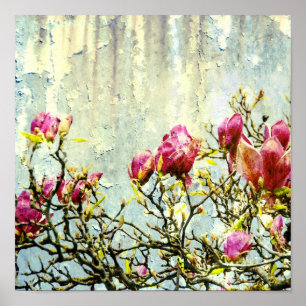 Poster Rusty Magnolia