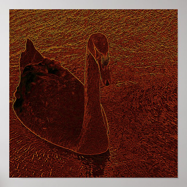 Poster Rusty Swan (Frente)
