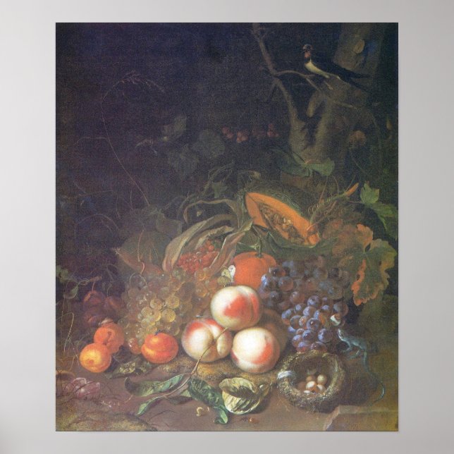 Poster Ruysch - Fruta, vida tranquila com um ninho de pás (Frente)