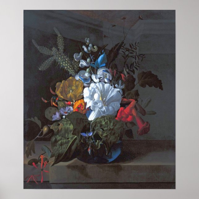 Poster Ruysch - Trumpet do diabo, cactus, Fig Branch, Hon (Frente)