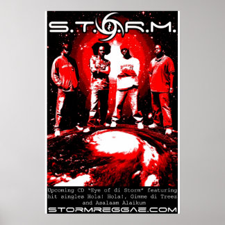 Poster S.T.O.R.M.