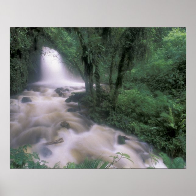 Poster SA, Peru, S.H. Machu Picchu, Cascade e nuvem (Frente)