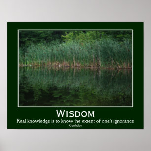 Poster Sabedoria Confucius Citação Catástrofe Inspiracion