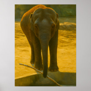 Poster Sabedoria do Elefante ouro - Vida Selvagem Majesto