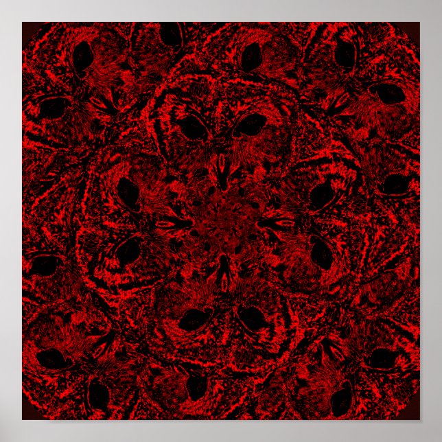 Poster Sabedoria infinita das corujas (Frente)