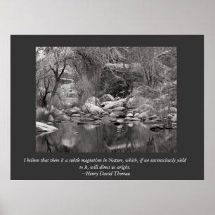 Pôster Sabino Canyon Creek - Thoreau Canvas Print