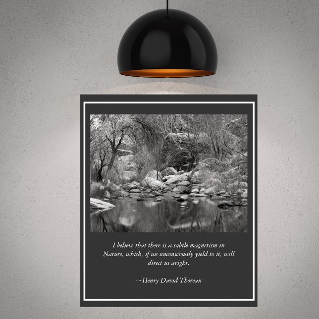 Poster Sabino Canyon Creek Winter Scense (Criador carregado)