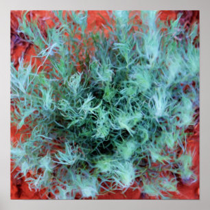 Poster Sábio do deserto