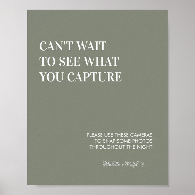 Poster Sábio Verde Sage - Sinal de Câmara Descartável (Frente)