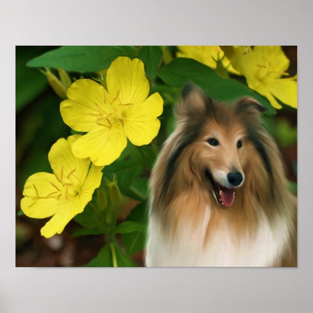 Pôster Sable Collie Yellow Primrose Dog Art (Frente)