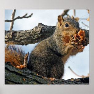 Pôster Saboroso em minha barriga