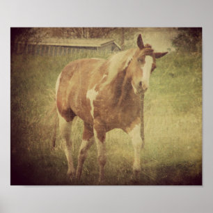 Pôster Sacode Cabeça Espetacular