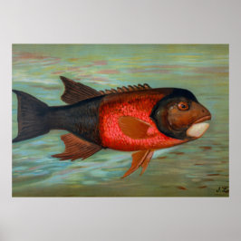 Poster Sacramento Pike por John L Petrie