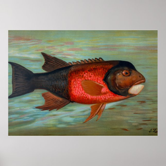 Poster Sacramento Pike por John L Petrie (Frente)