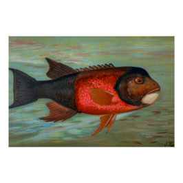 Pôster Sacramento Pike por John L Petrie